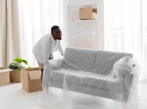 furniture-moving